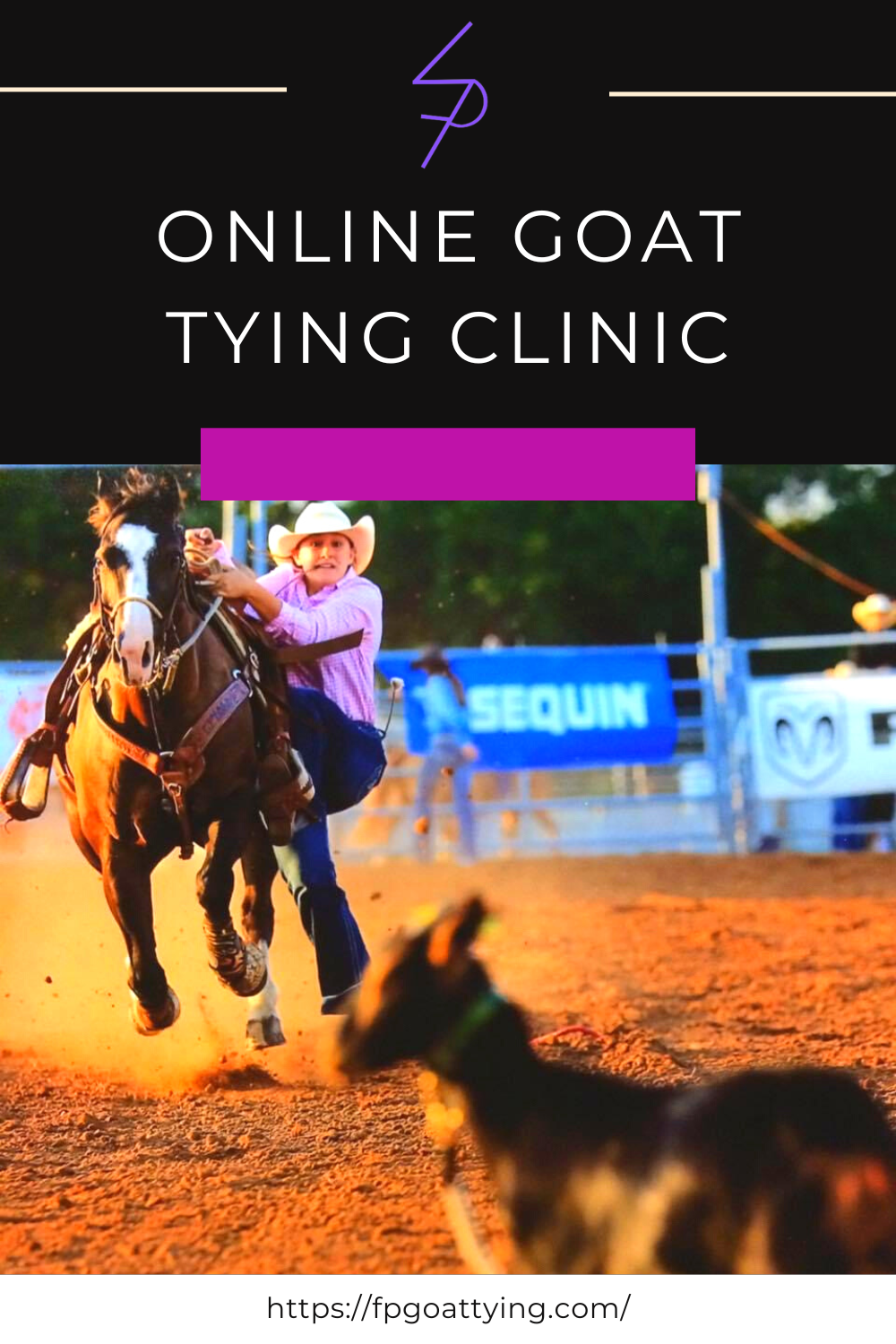 Collections – Full Potential Goat Tying